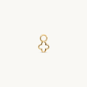 Lucky Charm