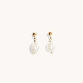Carlotta Studs